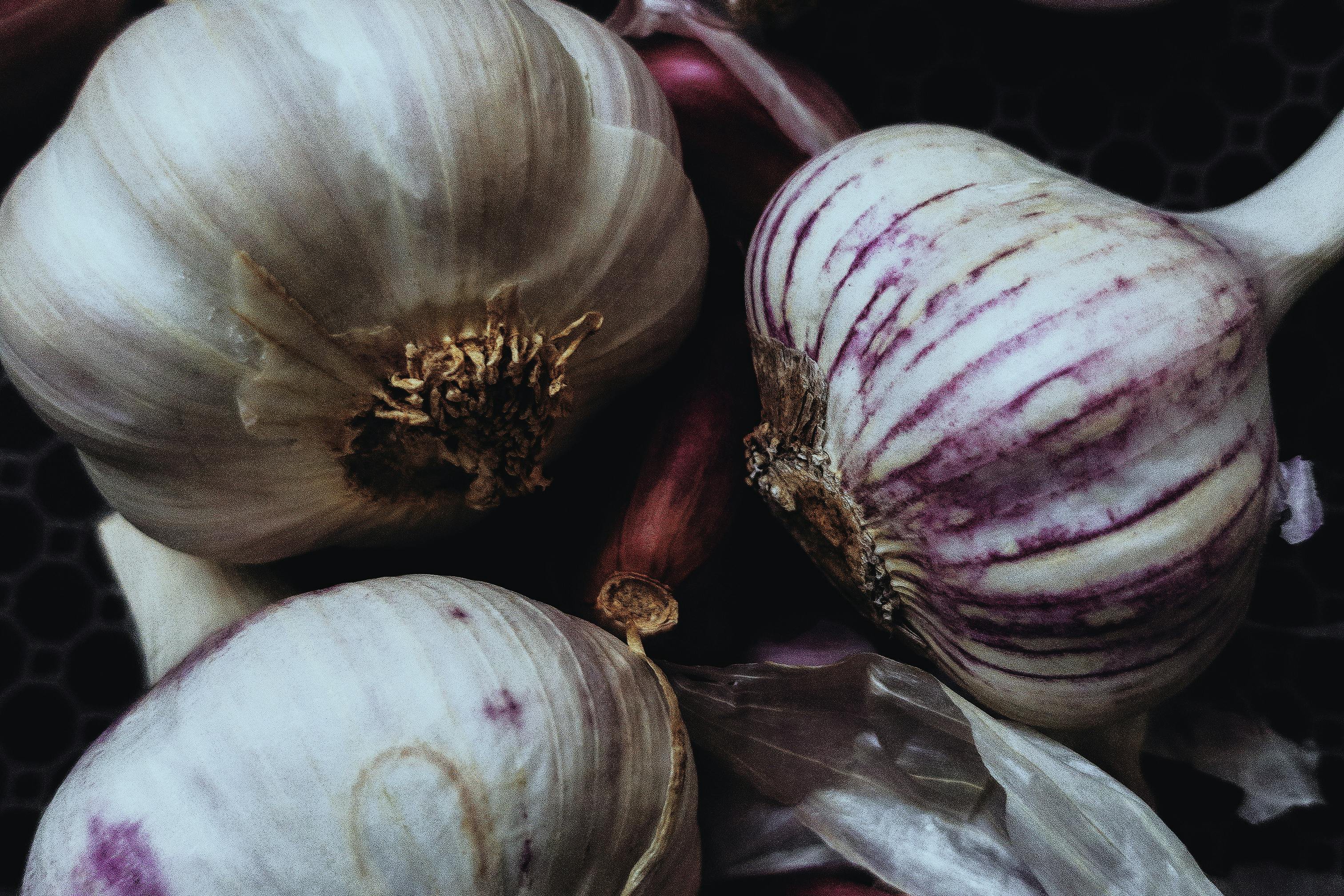 fresh garlic